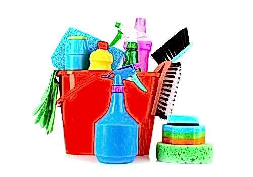 İzmir Ev Temizliği İzmir